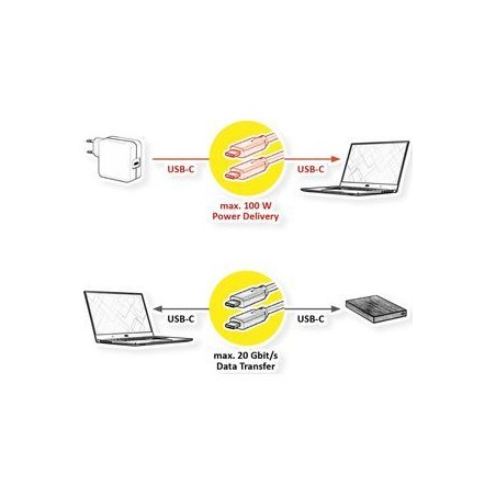 Roline GREEN Cable USB3.2 Gen2x2
